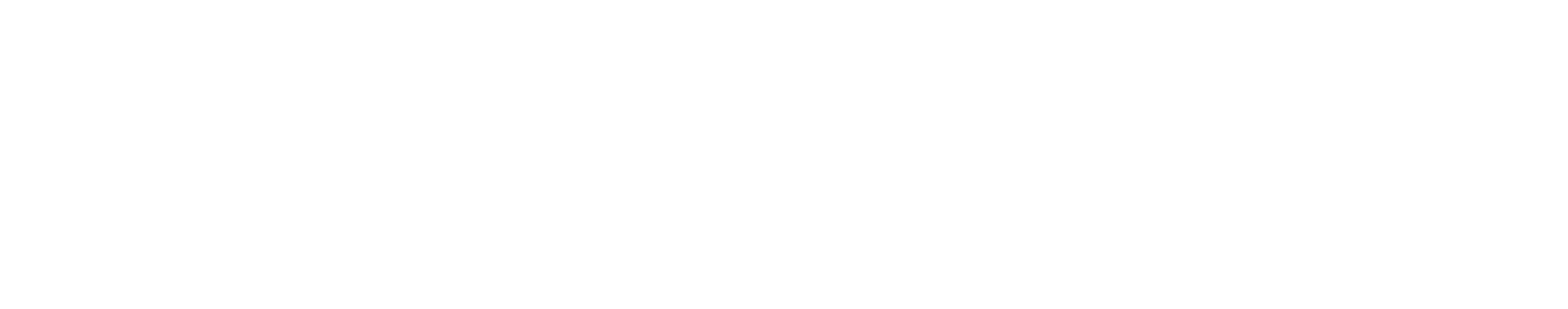ZEUZ MOTOR